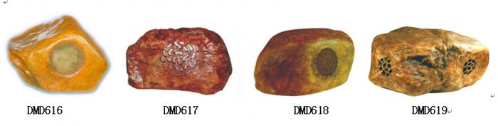 DMD616/DMD617/DMD618/DMD619